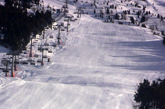 stella alpina 30 novembre