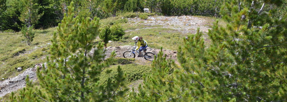 Piste Downhill Lombardia e Bormio