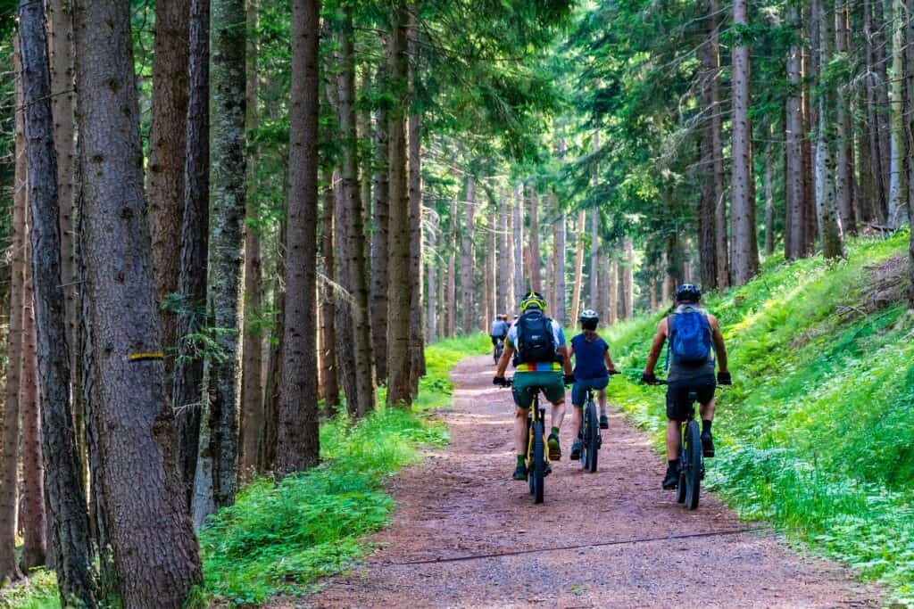 ebike in valtellina